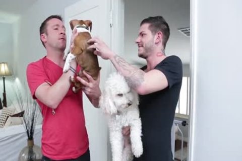 Married Trevor Knight fucked By A gay