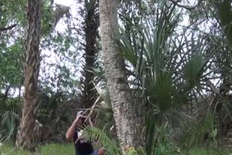 Mario Cruz And Nick Cross slam Generously