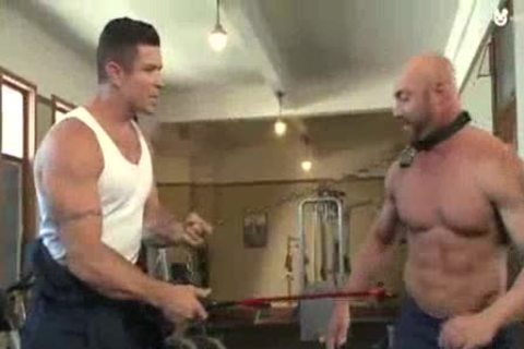 Bodybuilder tutored In pang By Trenton Ducatti