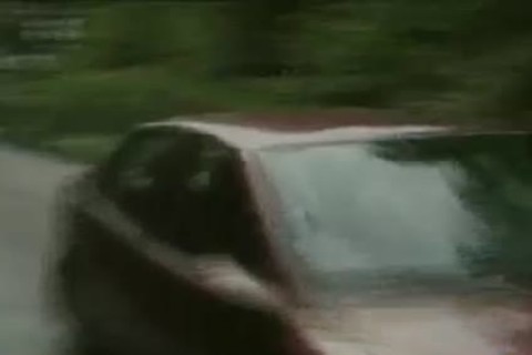 I'm Just going to Jump On His Shaft