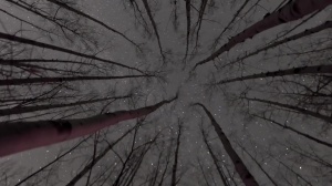 Stranded - Damien Stone, Jack Hunter ass Love