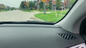 Pranksters - Dante Colle with Kit Cohen anal Hook up