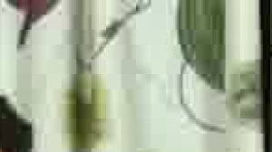 Sucked Down - non-professional pound