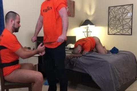 beefy Bear Breeding With TylerReed MattRyder & AtlasGrant