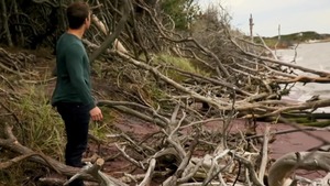 Cruising Grounds - Theo Brady American Hump