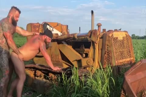 brawny Bears Have Sex In The Bush