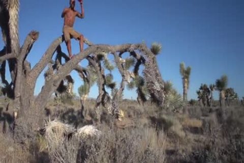 Charles And Leo - Leo Luckett