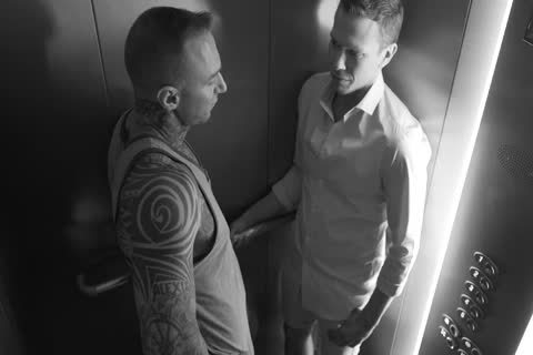 Dylan : Hard &  coarse Domination