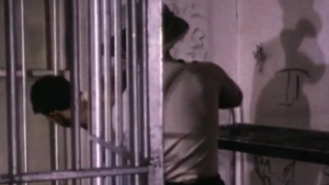 Falcon Studios: Stiff Officers and Hairy Partners