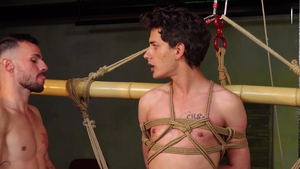 Suspended and Spurting: Tyler's Aerial Adventure