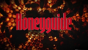 Disruptive Films: Caucasian Hotties Get it On