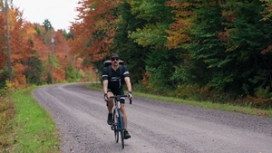 Roadside Revelry: A Biker's Fantasy